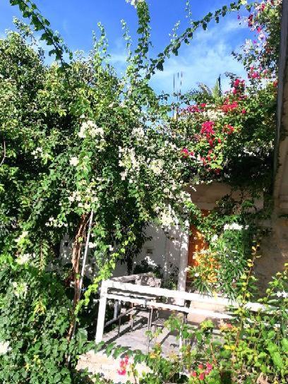 Hotel Lonos Circle Terrace View Romblon Zewnętrze zdjęcie